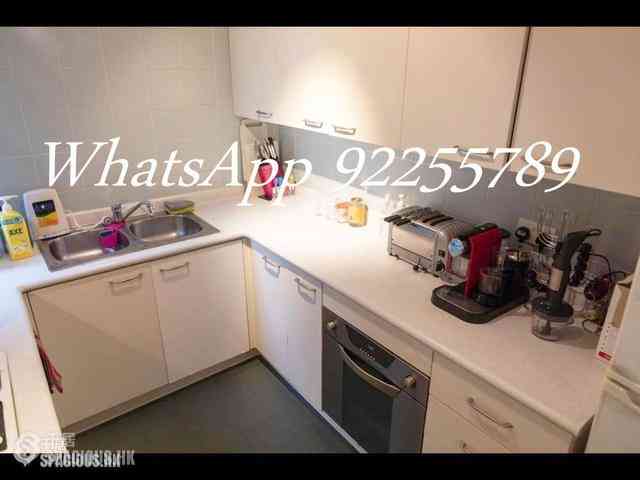 Central - Hollywood Terrace 05