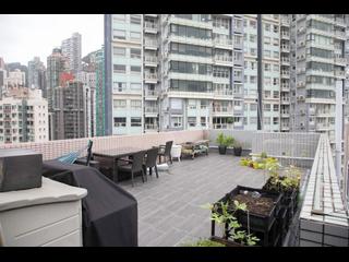 Central - Hollywood Terrace 09