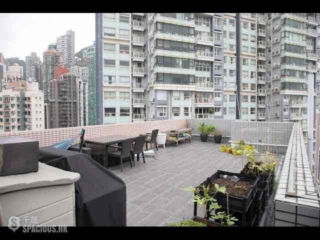 Central - Hollywood Terrace 09