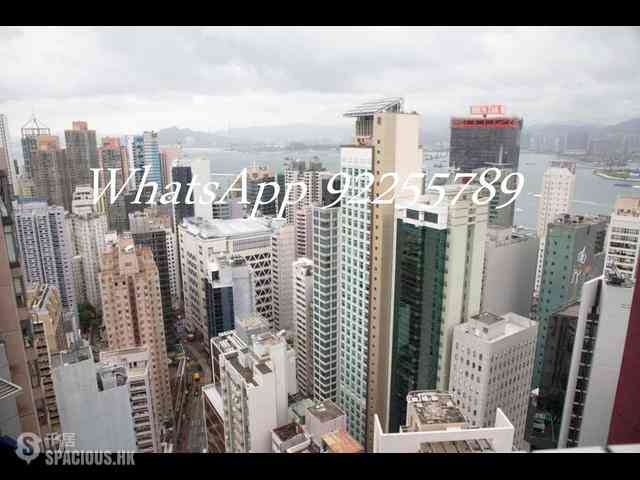 Central - Hollywood Terrace 11