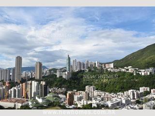 司徒拔道 - 欣景台 06