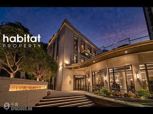 中半山 - 21 Borrett Road 1期 06