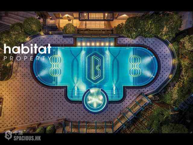 中半山 - 21 Borrett Road 1期 07