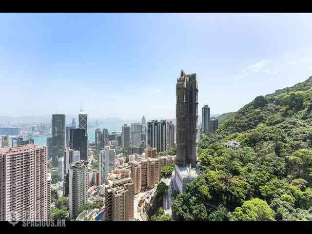 中半山 - 世纪大厦1座 05