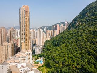 西半山 - 帝豪閣C座 02
