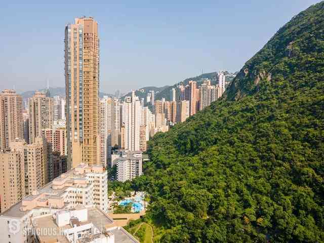 西半山 - 帝豪閣C座 02