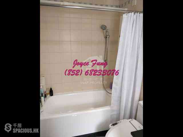 Central - Hollywood Terrace 03