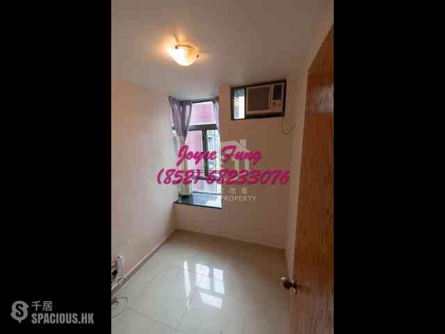 Central - Hollywood Terrace 04