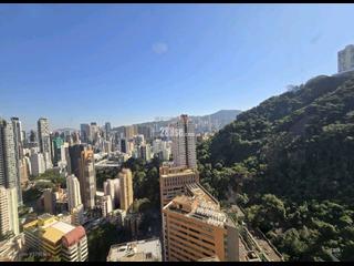 東半山 - 竹林苑 02