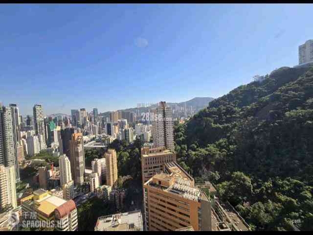 東半山 - 竹林苑 02
