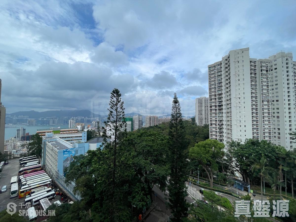 寶馬山 - 豐林閣2座 01