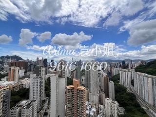 大坑 - 春暉8號 15