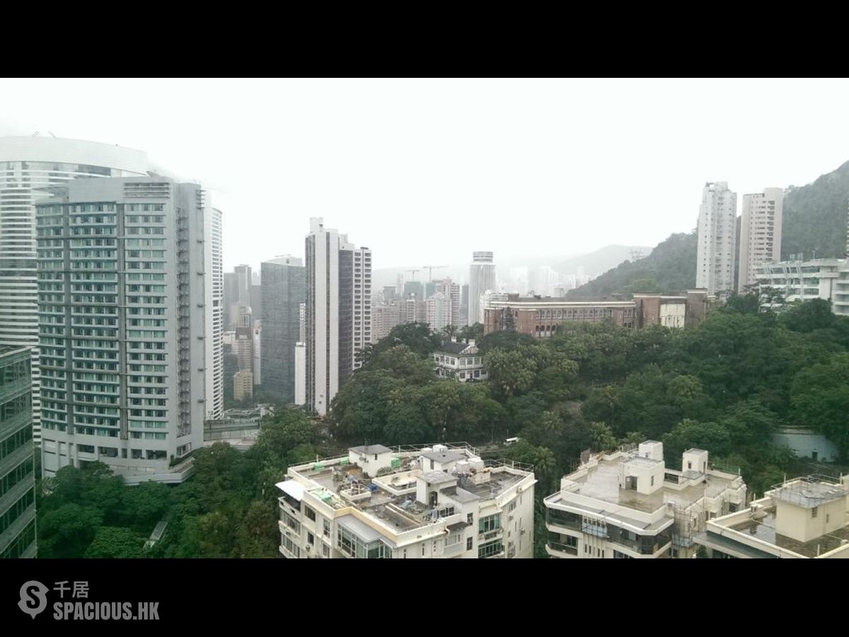中半山 - 寶樺臺 01