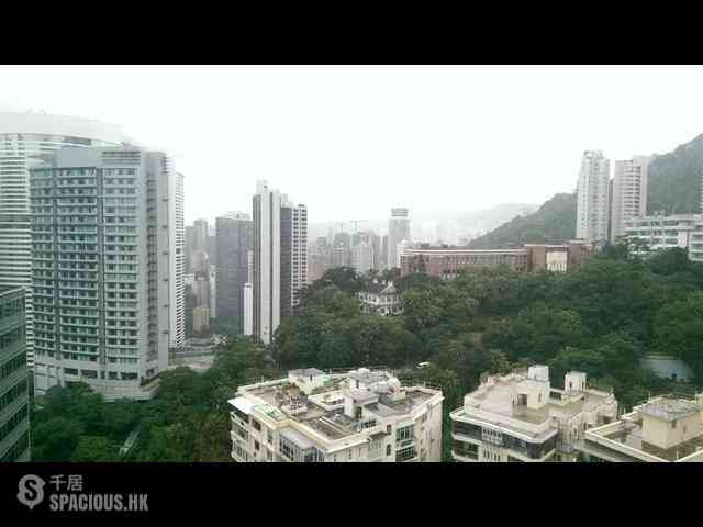 中半山 - 寶樺臺 01