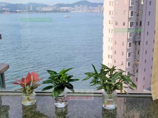 堅尼地城 - 泓都2座 02