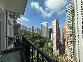 東半山 - 滿峰台 12