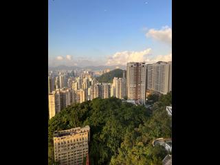 渣甸山 - 嘉雲臺 17