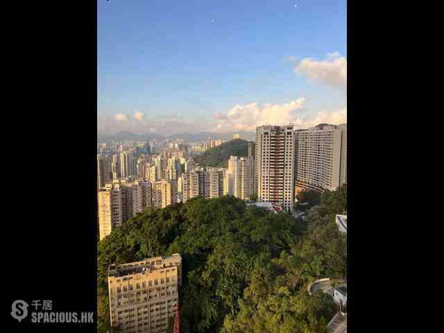 Jardines Lookout - Cavendish Heights 17