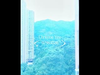 Tai Hang - Tai Hang Terrace 07