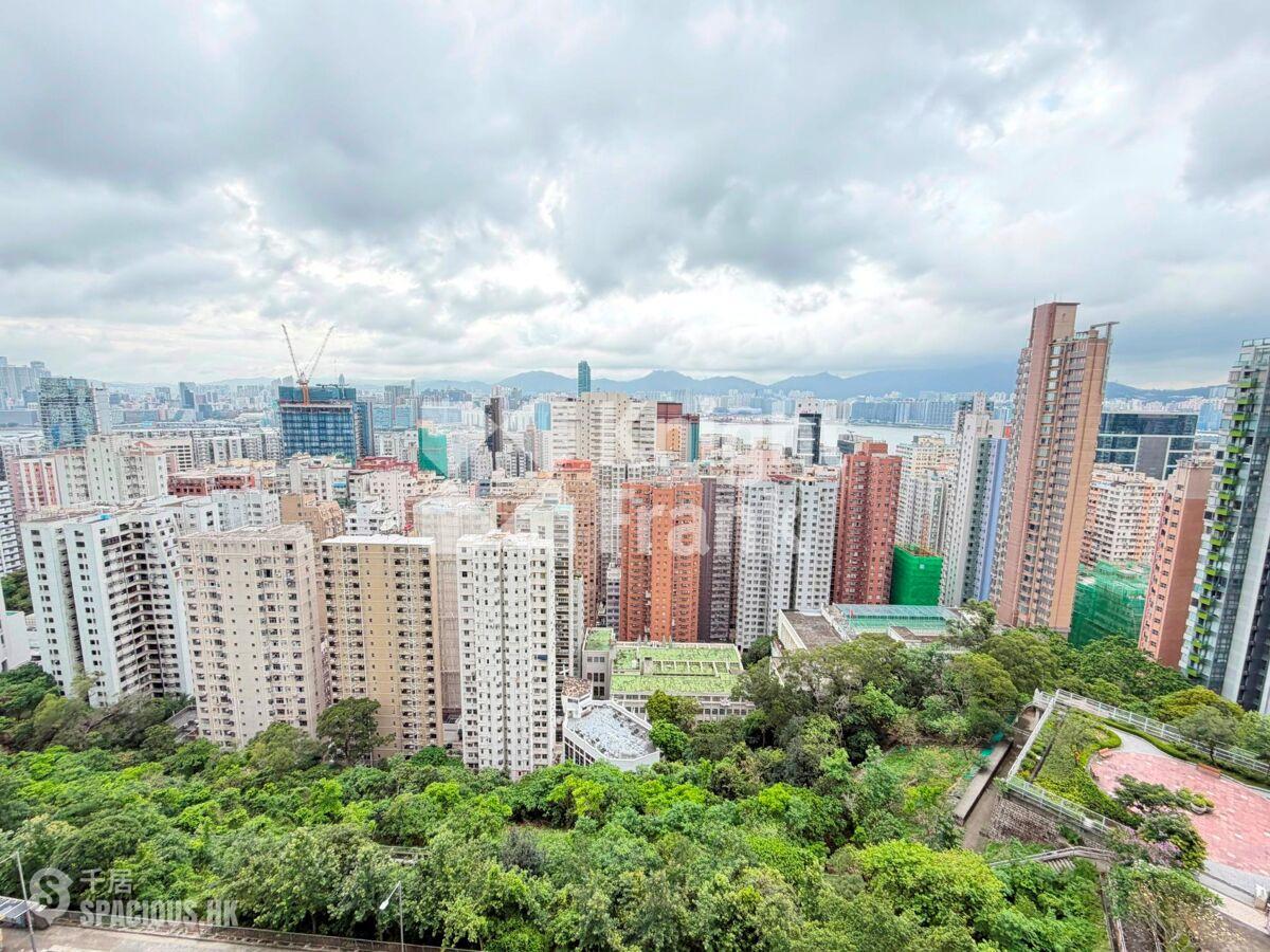 Braemar Hill - Sky Scraper 01