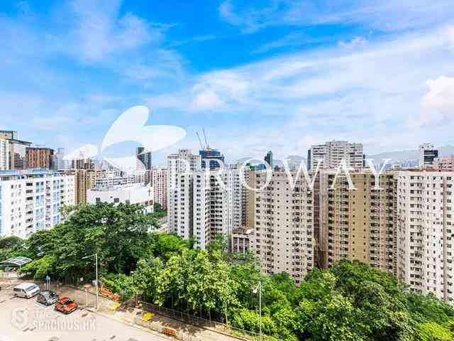北角 - Tin Hau Temple Road North Point 02