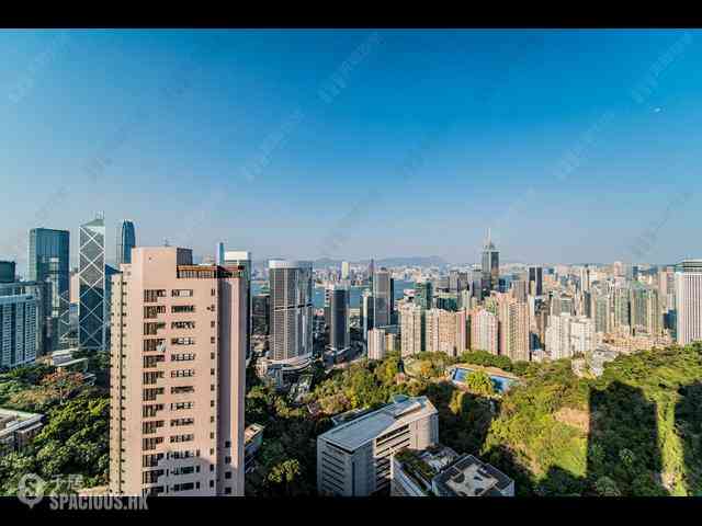 東半山 - 峰景花園 01