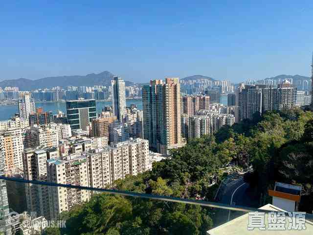 寶馬山 - 雲峰大廈 01