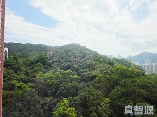 寶馬山 - 雲景台 03