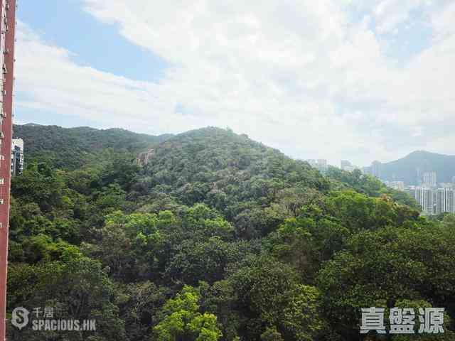 寶馬山 - 雲景台 03