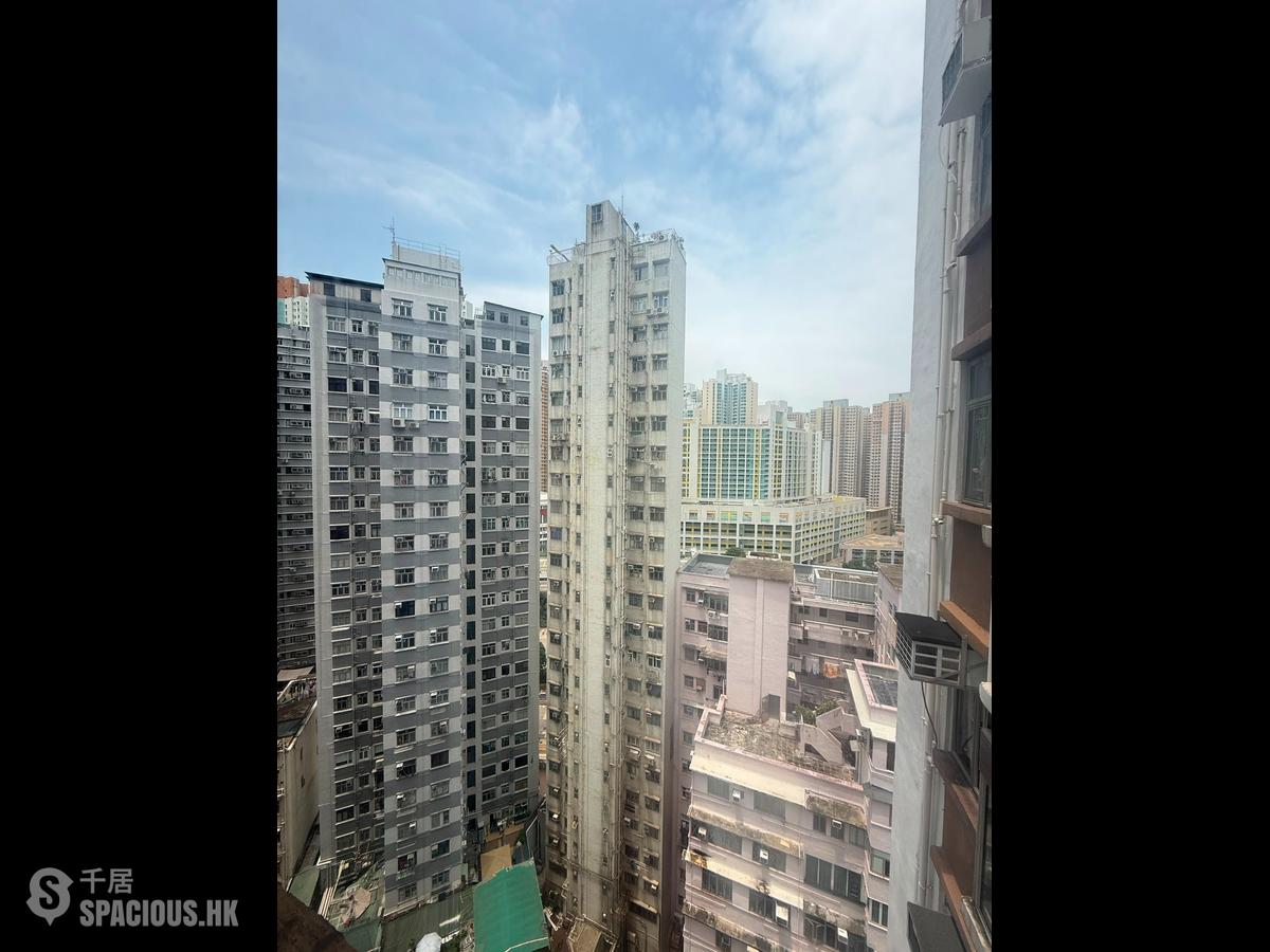 西灣河 - 新成中心 01