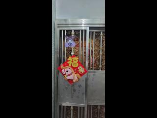西灣河 - 都寧大廈 07