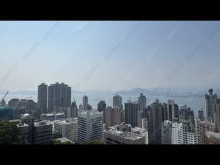 西半山 - 大學閣 15