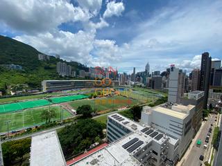 Happy Valley - Pioneer Court 08
