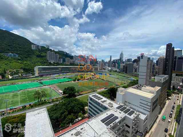 Happy Valley - Pioneer Court 08