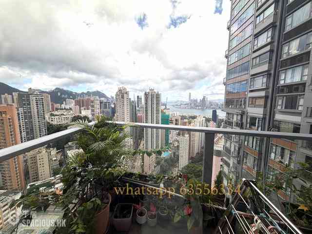 Tai Hang - Serenade 04