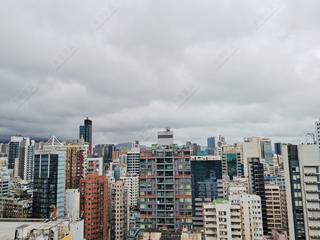 佐敦 - GRAND AUSTIN 05
