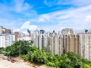 北角 - Tin Hau Temple Road North Point 02