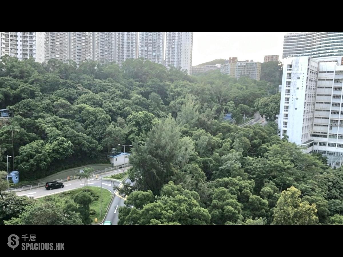 宝马山 - 豪景 01