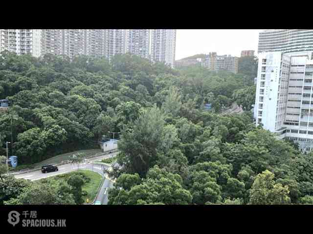 寶馬山 - 豪景 01