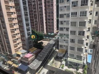 Sai Ying Pun - Wealth Building 09