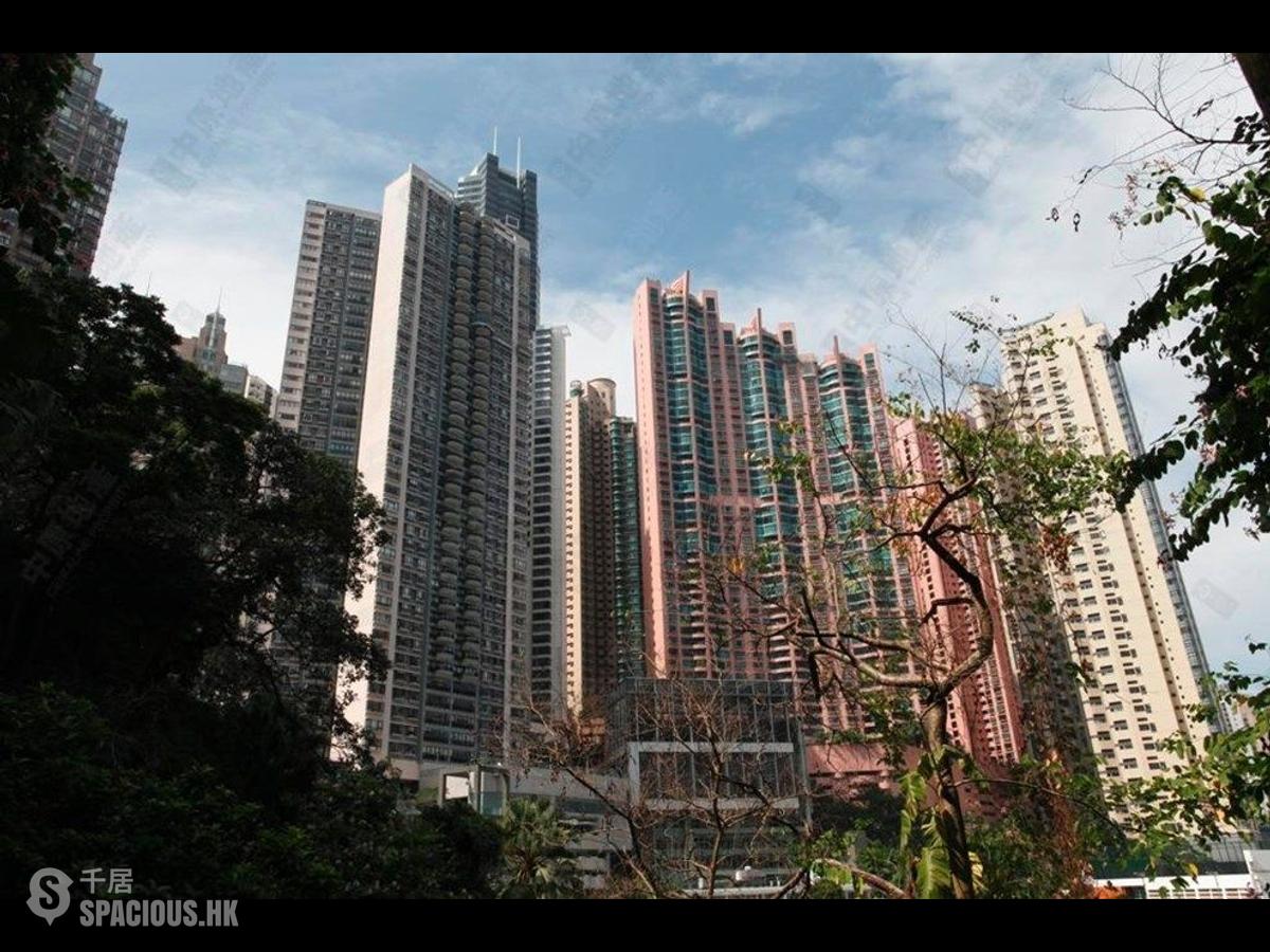 中半山 - 嘉富麗苑2座 01