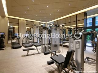 Mid Levels Central - The Morgan 12