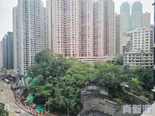 炮台山 - 101 Kings Road 02