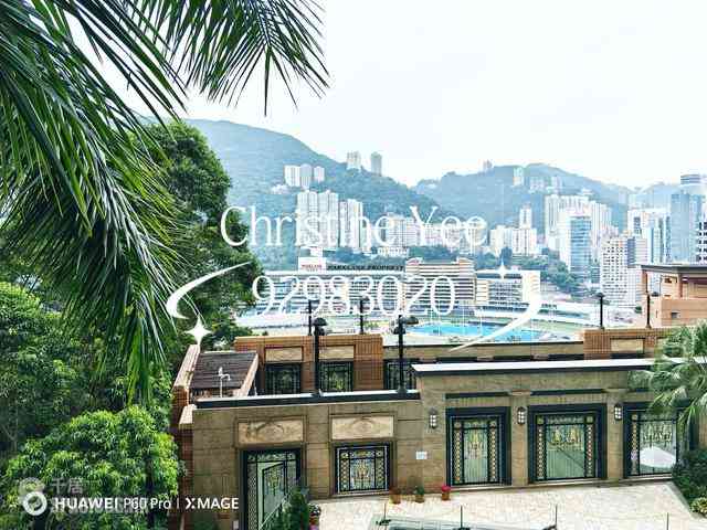 禮頓山 - 禮頓山 04