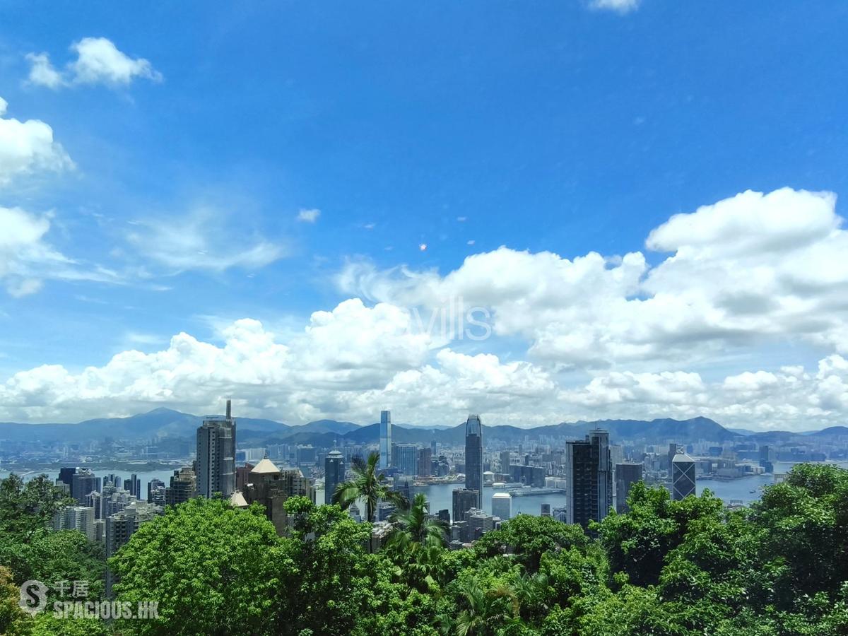 The Peak - Haking Mansions 01