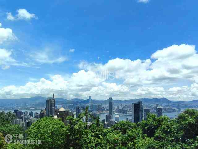 The Peak - Haking Mansions 01