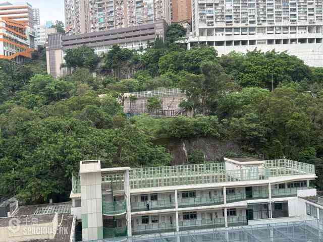 北角 - 楓林花園3期 01
