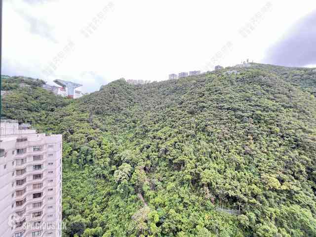 中半山 - 曉峰閣 07
