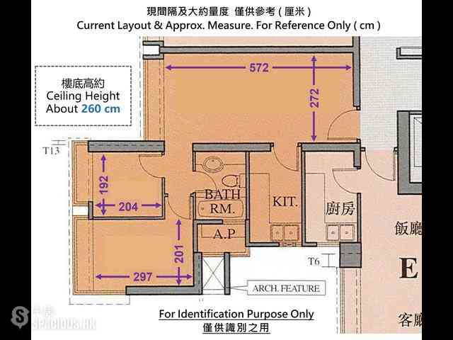 小西灣 - 藍灣半島 15