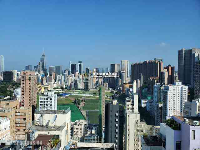 跑马地 - 逸怡居 01